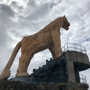 Meet your Posher, Guillermo